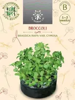 Nojus Sėklos daiginti 10g brokoliai