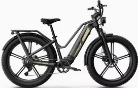 Elektrinis dviratis Fiido Titan, 26", 750W, 14,5Ah, juodas