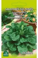 Nojus Salotinių sultenių sėklos 2g Volhart 3