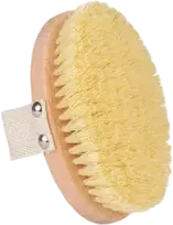 Habys Sauso masažo šepetys