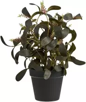 House Nordic Dirbtinis augalas 35 cm žalias, PE plastikas