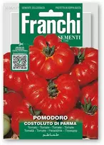 Pomidorai valgomieji COSTOLUTO DI PARMA