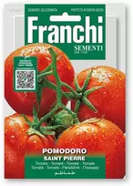 Pomidorai valgomieji S.PIERRE
