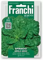 Špinatai daržiniai MERLO NERO