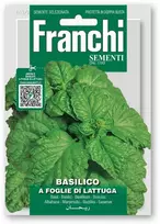 Bazilikai kvapieji A FOGLIE DI LATTUGA