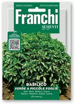 Bazilikai kvapieji VERDE A PICCOLE FOGLIE