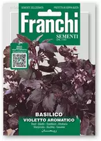Bazilikai kvapieji VIOLETTO AROMATICO