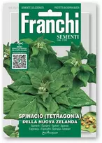 Naujosios Zelandijos špinatai (Tetragonija) DELLA NUOVA ZELANDA