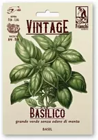 Bazilikai kvapieji ITALIANO CLASSICO