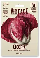 Salotinės trūkažolės (Cikorijos) ROSSA DI VERONA A PALLA