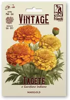 Serenčiai didieji MARIGOLD