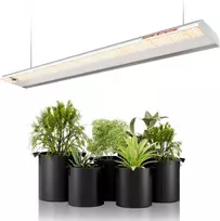 Spider Farmer LED lempa augalams SF600, 75 W, pilnas šviesos spektras, 384 diodai
