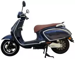 Dayi Motor Elektrinis motoroleris E-Biene