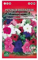 Nojus Stambiažiedžių petunijų sėklos 0.1g