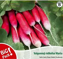 Nojaus Ridikėlių sėklos B 10g