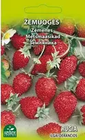 Nojaus Žemuogių sėklos 0.1g