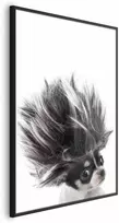 Artgeist Plakatas - Chihuahua