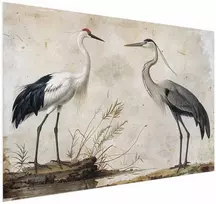 Artgeist Plakatas - Birds from an Old Engraving - vintage-style illustration of a heron and a crane