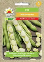 Toraf Pupų sėklos 50g Windsor Bialy