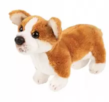 Suki Pies Corgi