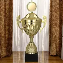 Victoria Sport Gold metalinis puodelis