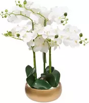 Atmosphera Dirbtinė orchidėja auksiniame vazone SANAE, aukštis 65 cm