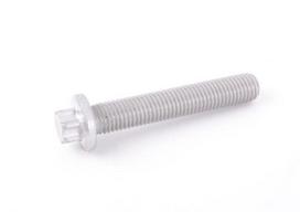BMW E90 Torx varžtas Originalus 11287530315