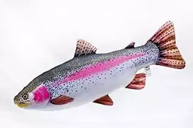 Gaby Pagalvėlė Vaivorykštinis upėtakis (62 cm)