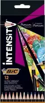 Bic Spalvoti pieštukai Intensity 12 spalvų rinkinys 951844