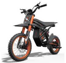 Elektrinis dviratis RIDING TIMES GT54 1000W