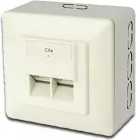 DIGITUS CAT 5e sieninis lizdas, ekranuotas, 2x RJ45, 8P8C, LSA, spalva grynas baltas, montuojamas ant paviršiaus, DN-9002/B5-N