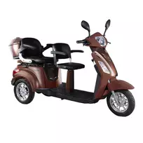Elektrinis triratis MS04/EEC 20Ah(švino baterija) - Ruda