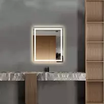 Mirrorsled Skaidrus veidrodis su LED priekiniu apšvietimu 600x700 (atitrauktas matinimas 30mm)