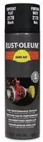 Rustoleum Purškiami dažai RAL9005 matiniai juodi 500ml