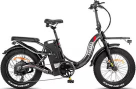Elektrinis dviratis Fafrees F20 X- Max 20", pilkas, 750W, 30Ah