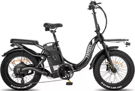 Elektrinis dviratis Fafrees F20 X- Max 20", juodas, 750W, 30Ah