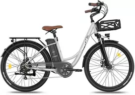 Elektrinis dviratis Fafrees F26 Lasting, 26", pilkas, 250W, 20,3Ah