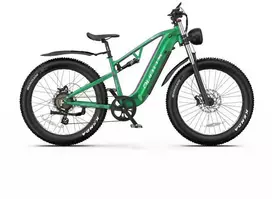 Elektrinis dviratis DUOTTS E26 Hybrid, 26", 750W, 20Ah SAMSUNG, žalias