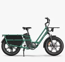 Elektrinis dviratis Fiido T2, 20", 750W, žalias