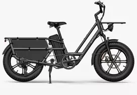 Elektrinis dviratis Fiido T2, 20", 750W, pilkas