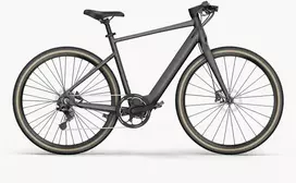 Elektrinis dviratis Fiido Gravel C21, L, pilkas