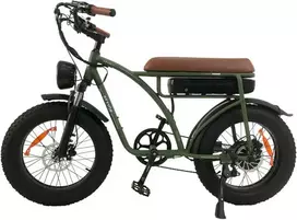 Elektrinis dviratis Bezior XF001, 20", 1000W, 12,5Ah, žalias