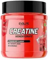 EvoLite Creatine Monohydrate (su skoniais) 300g. (Blueberry skonis)