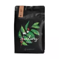 Coffee Plant KAVOS AUGALAS - Honduras La Paz Marcala Washed Espresso 250g
