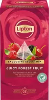 Lipton išskirtinės atrankos arbata su miško uogų skoniu, piramidės formos, 25 pakeliai