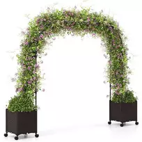 Promotions Sodo arkos, 202x40x288 cm, juoda ruda