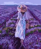 Paveikslas skaičiais - Levandų laukas 40x50cm
