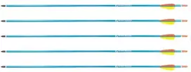 Poe Lang Ek Poe Lang Target 30″ D-016-BAliuminio strėlės 5 vnt. mėlynos spalvos