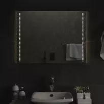 Vonios kambario LED veidrodis, 60x80cm