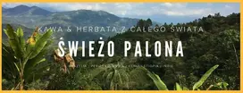 HAYB šviežiai skrudintos kavos pupelės Ale Owoc! Gvatemala Santa Barbara filtruotas 250 g